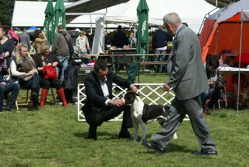 Publication : Of Ultimate Fighters