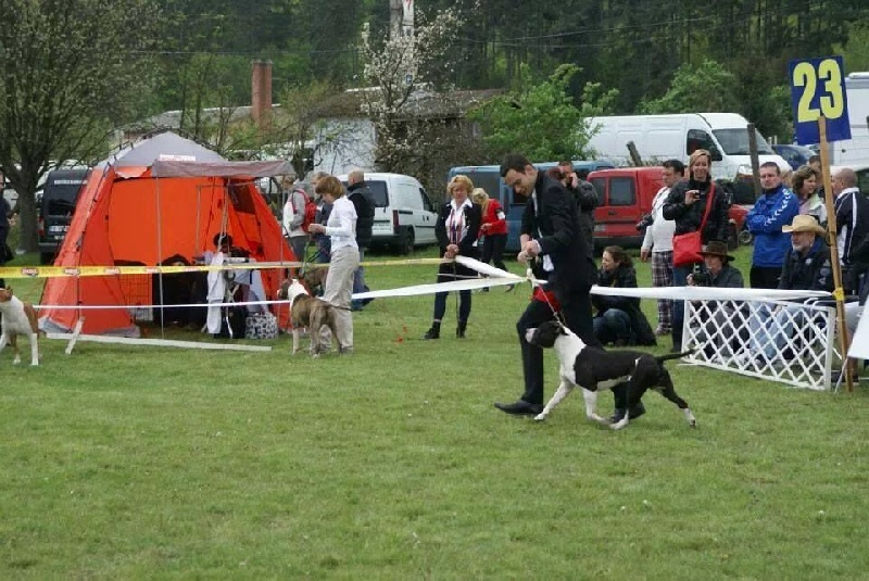 Publication : Of Ultimate Fighters