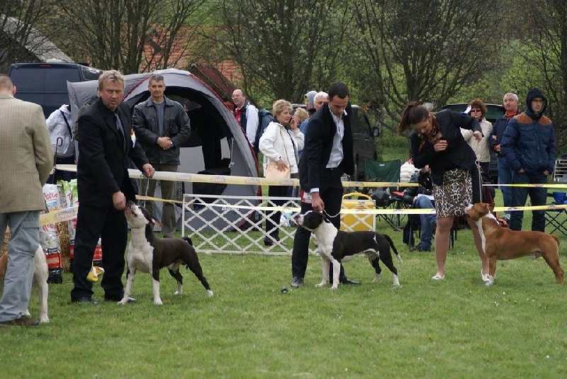 Publication : Of Ultimate Fighters