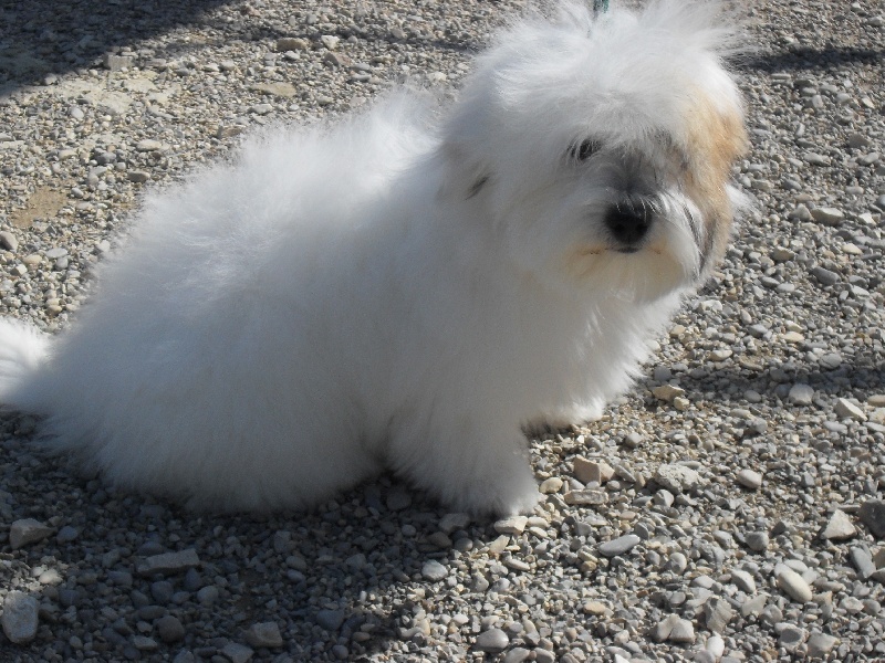 Publication : D'ivandry Auteur : CELLIER CATHY IVANDRY