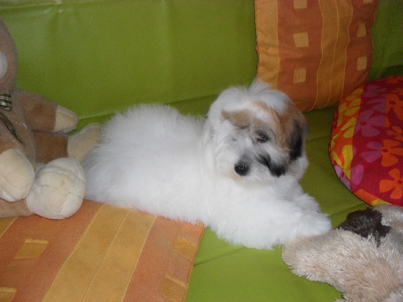 Publication : D'ivandry Auteur : CELLIER CATHY IVANDRY