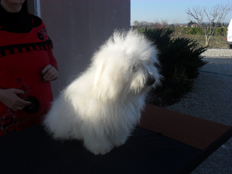 Publication : D'ivandry Auteur : CELLIER CATHY IVANDRY