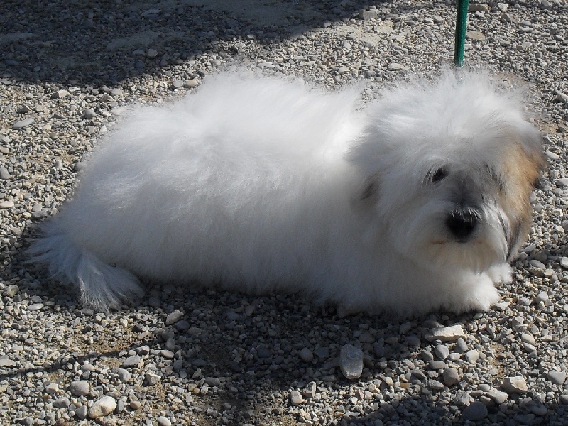 Publication : D'ivandry Auteur : CELLIER CATHY IVANDRY