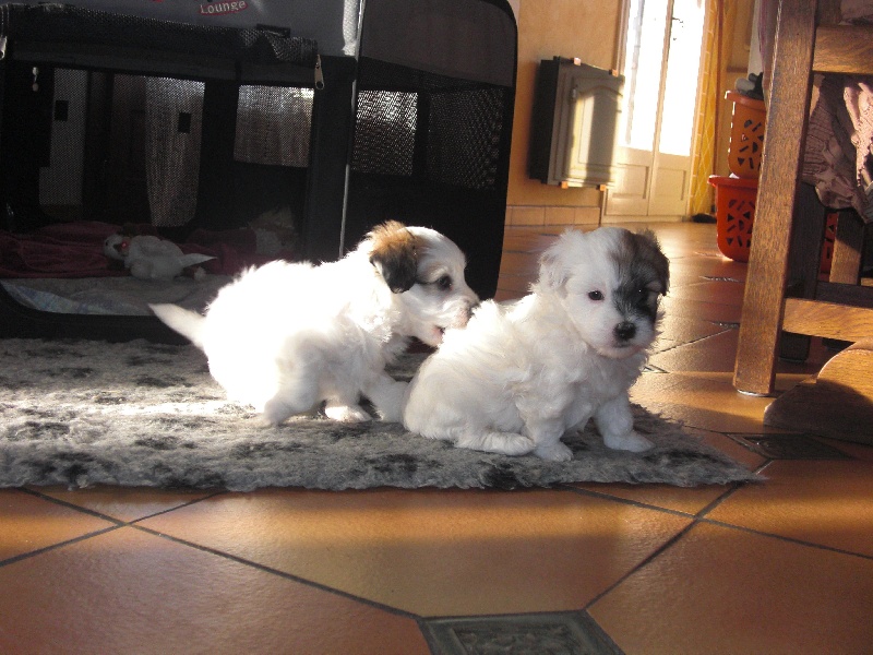 Publication : D'ivandry Auteur : CELLIER CATHY IVANDRY