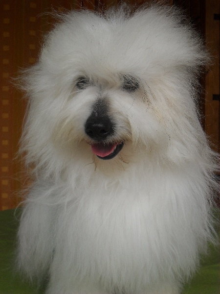 Publication : D'ivandry Auteur : CELLIER CATHY IVANDRY