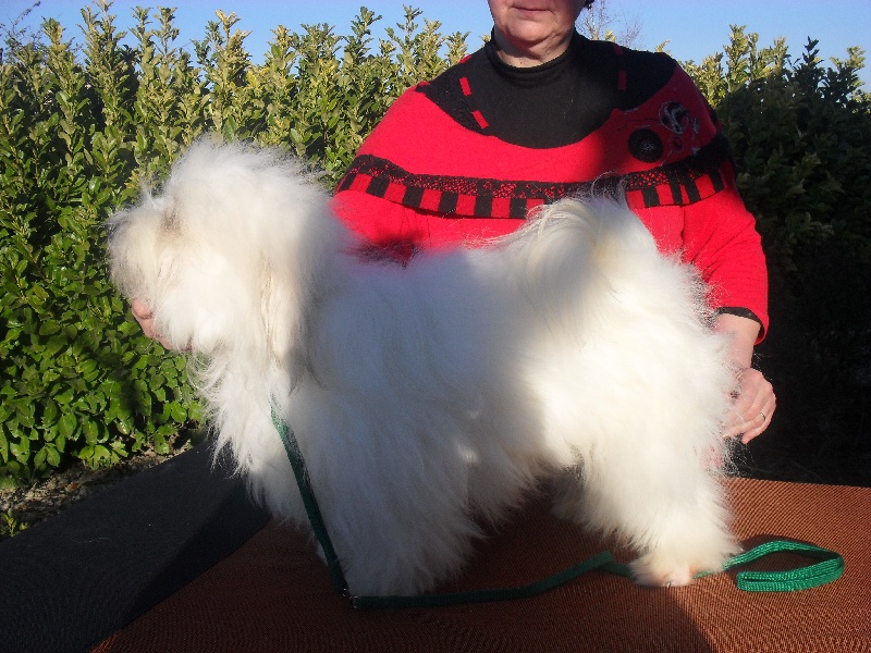 Publication : D'ivandry Auteur : CELLIER CATHY IVANDRY