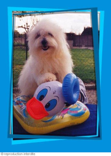 Publication : D'ivandry