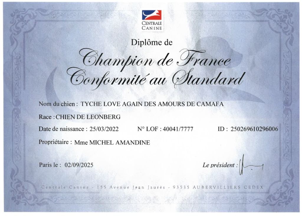 CH. Tyche love again Des Amours De Camafa