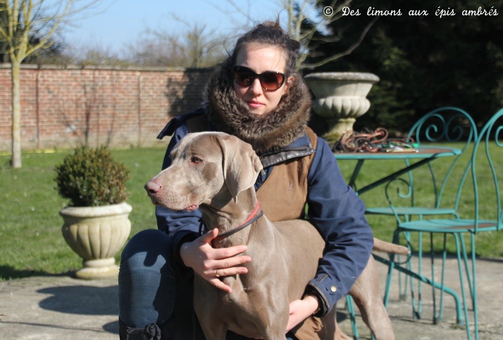 TR. CH. Magnum opus delle stoppie Des Limons Aux Epis Ambrés