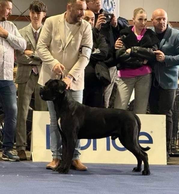 Publication : Des Deesses Du Temple