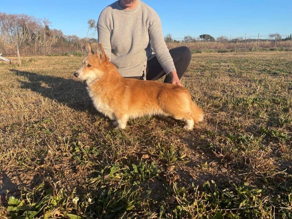 Publication : Des Deesses Du Temple Auteur : DES DEESSES DU TEMPLE