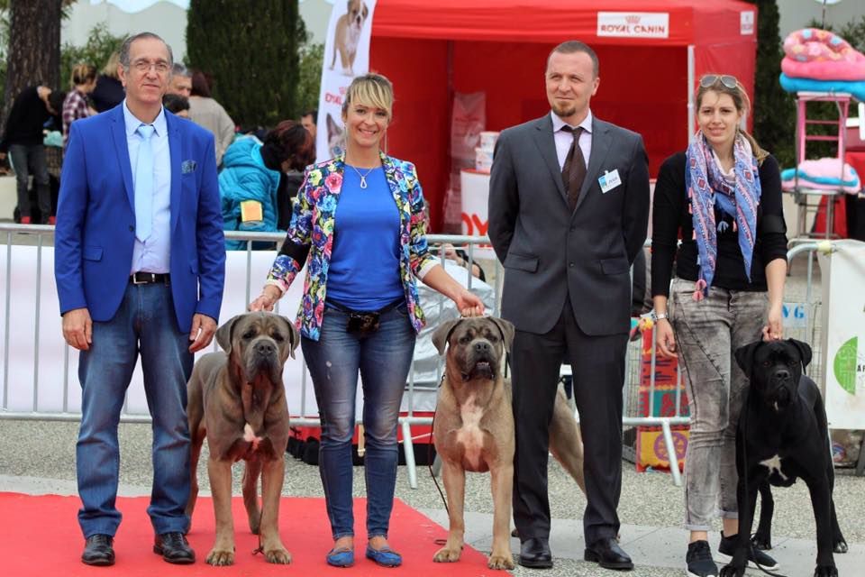 CH. Jules cesar Des Deesses Du Temple - 1ER EXC CACS