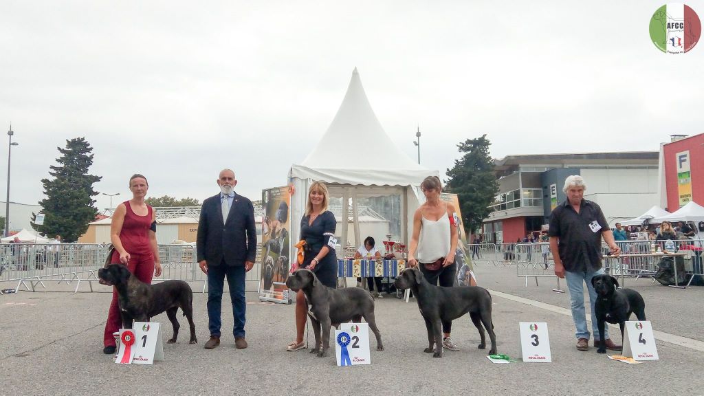 Joy Des Deesses Du Temple - 2ème EXC CLASSE OUVERTE