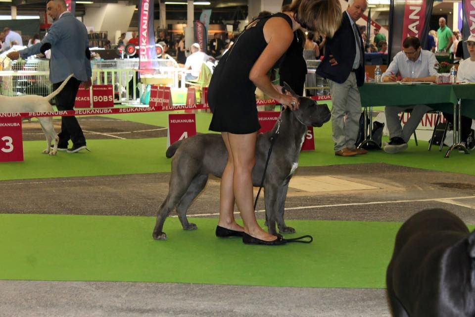 Joy Des Deesses Du Temple - 1ER EXC CLASSE JEUNE