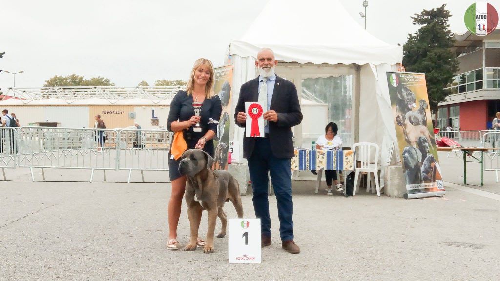 CH. Jules cesar Des Deesses Du Temple - 1ER EXC CLASSE CHAMPION
