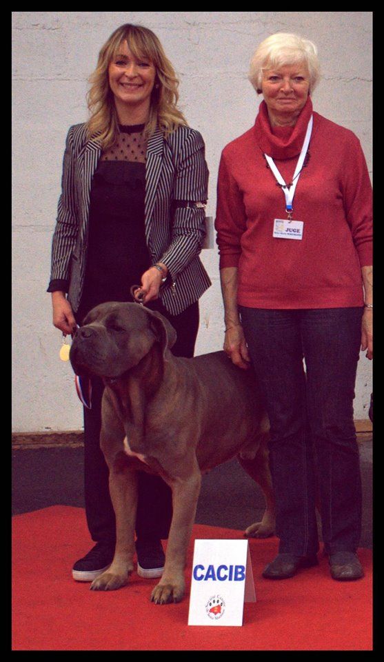 CH. Jules cesar Des Deesses Du Temple - 1 ER EXC CLASSE CH CACIB BOB