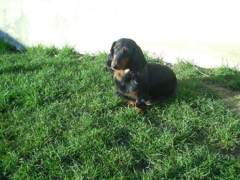 Publication : Matata des Dunes Auteur : MATATA DES DUNES