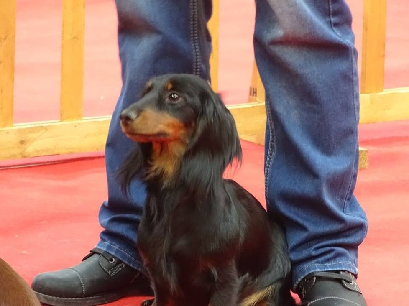 Ice cream De La Vallee De Teckelis