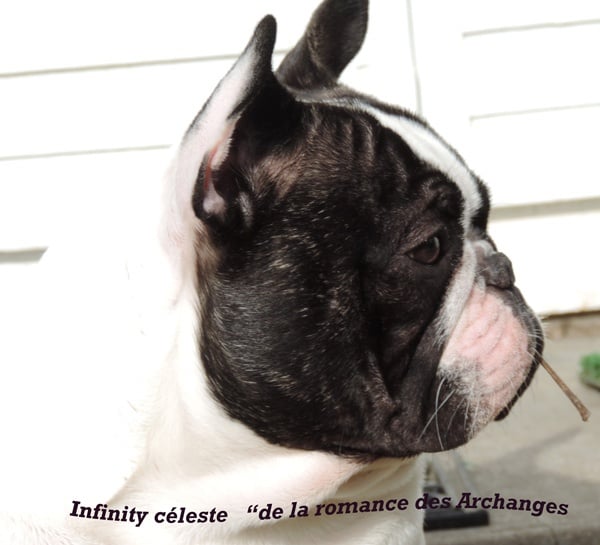 Publication : De La Romance Des Archanges Auteur : barbara