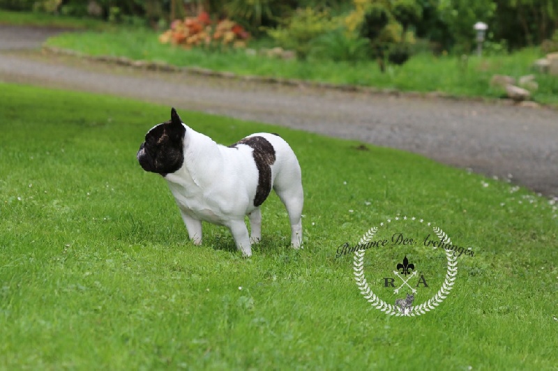 Publication : De La Romance Des Archanges Auteur : barbara