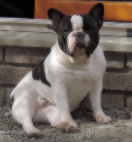 Infinity celeste Du Domaine De Caraïbe - Excellent