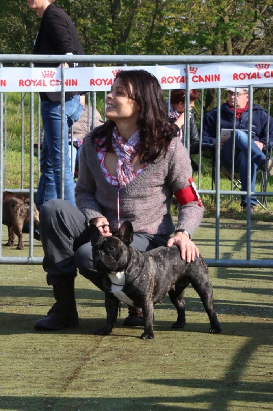 Félicie des Joyaux du Royaume Valyo - Classsé 2éme Excellent