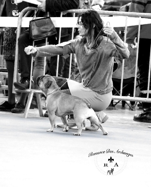 Luxestory's Lou poupoupidou - Excellent