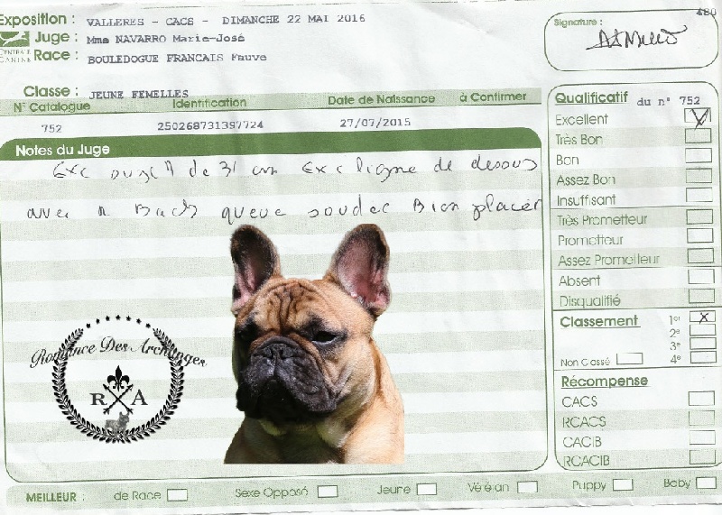 Luxestory's Lou poupoupidou - 1ère/5 Excellent