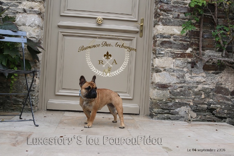 Luxestory's Lou poupoupidou - TAN obtenu