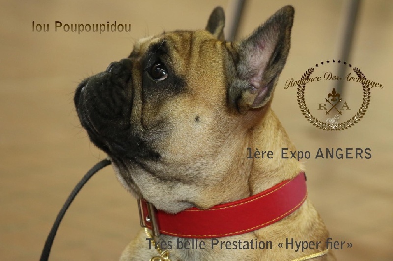 Luxestory's Lou poupoupidou - Trés prometteur