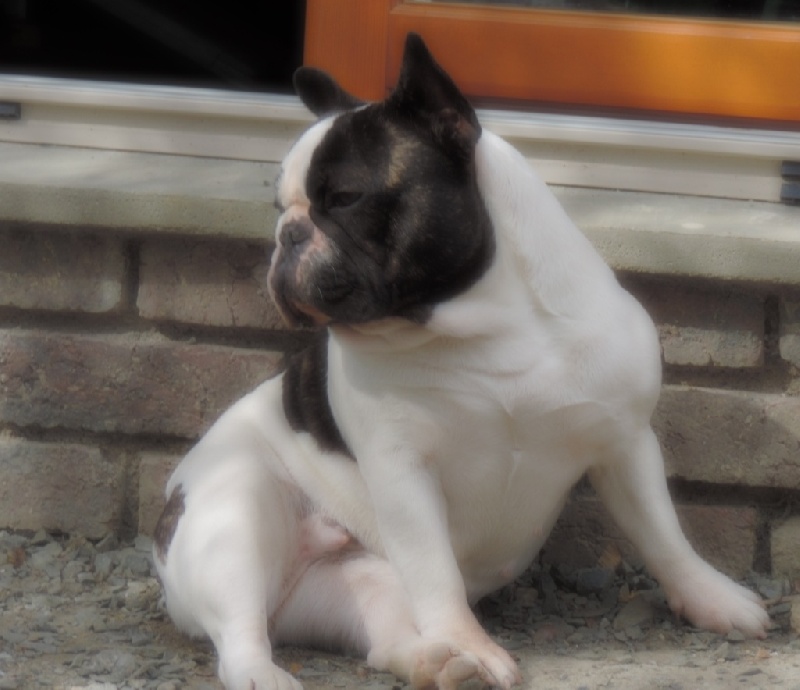 Infinity celeste Du Domaine De Caraïbe - TAN