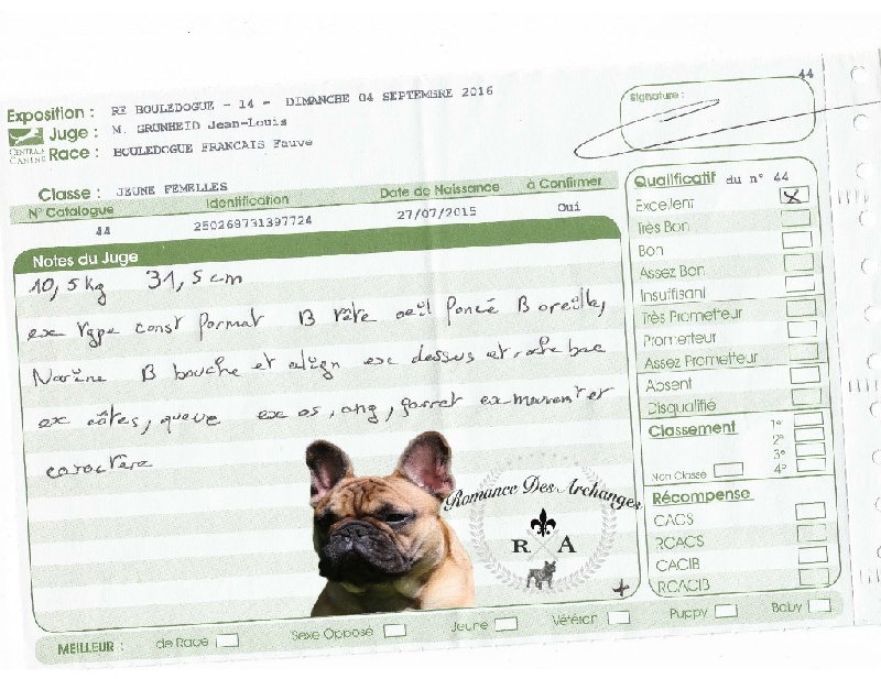 Luxestory's Lou poupoupidou - Excellent