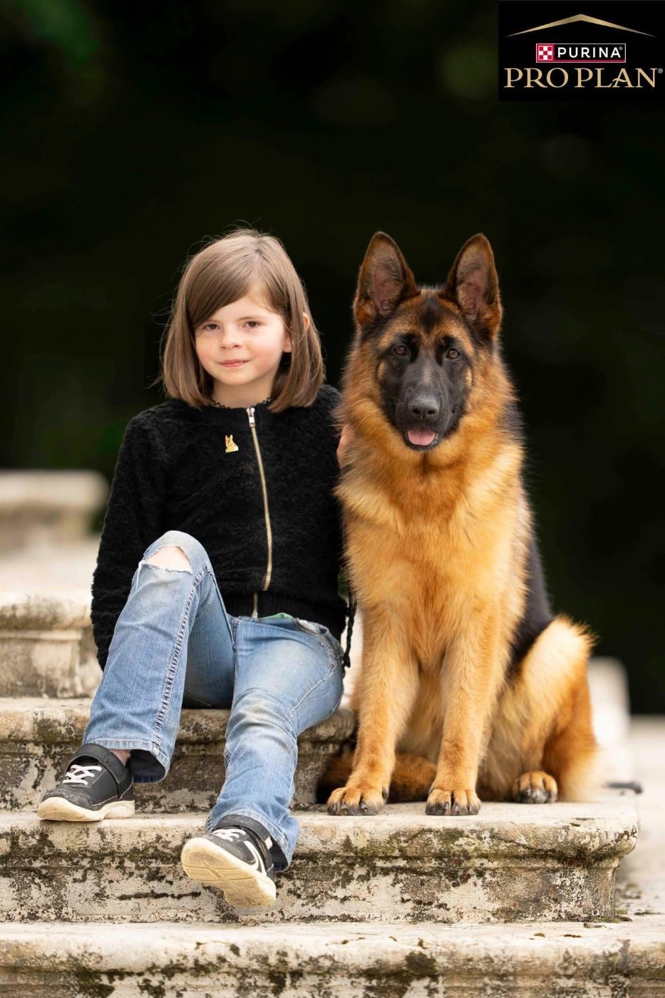 Chiot Berger Allemand