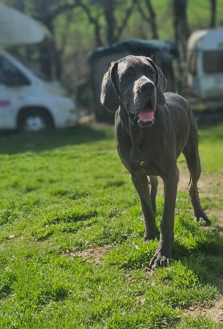 Avana Des Terres De Phelyzia