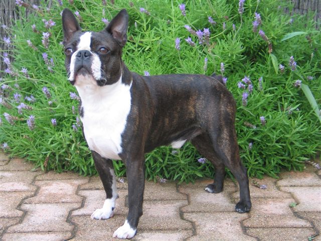 CH. Retour en force Du grand fresnoy