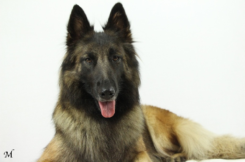 Helfie Du Grand L'ilot