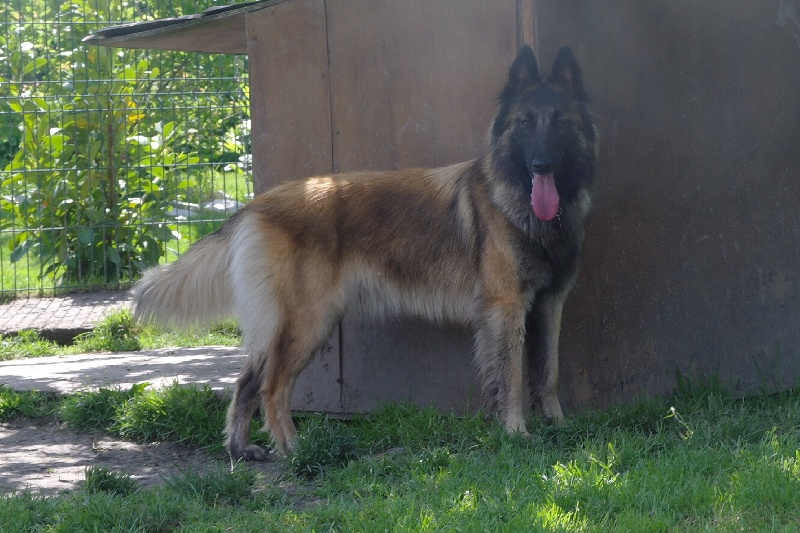 Helfie Du Grand L'ilot