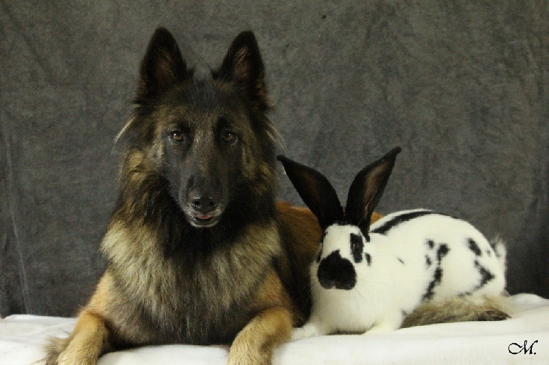 Helfie Du Grand L'ilot