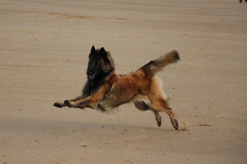 Helfie Du Grand L'ilot