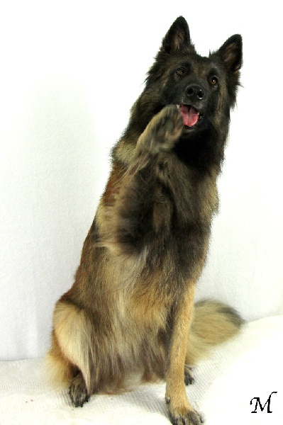 Helfie Du Grand L'ilot