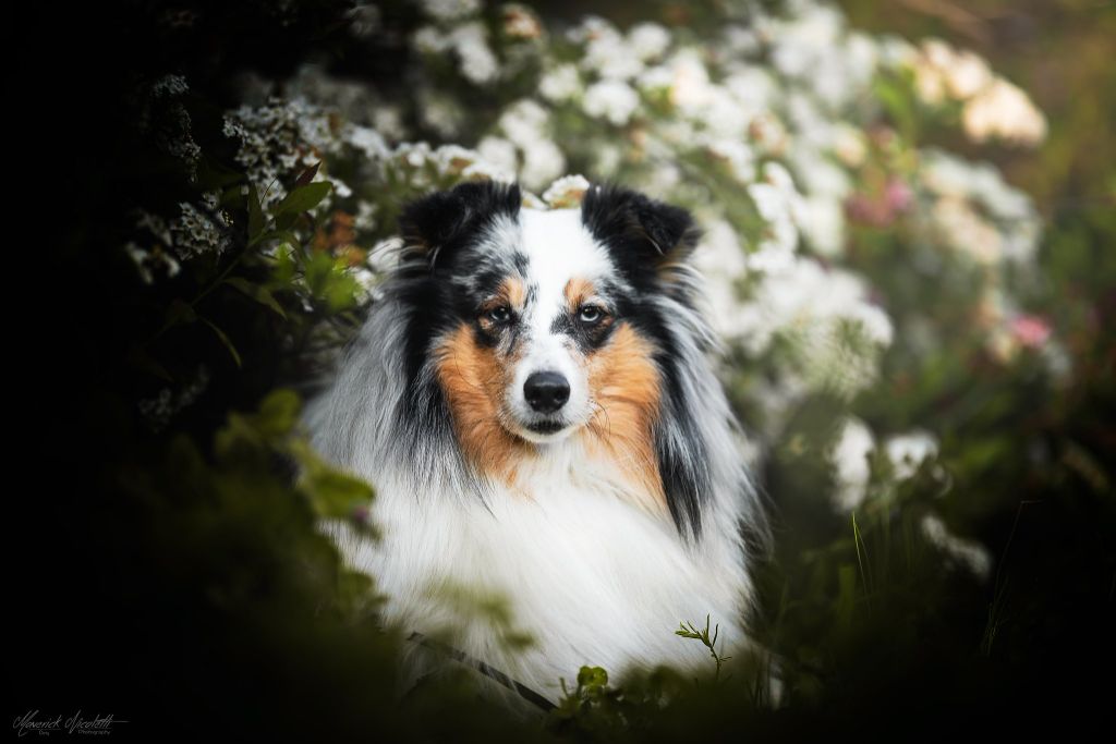 Publication : De L'odyssée D'alcane