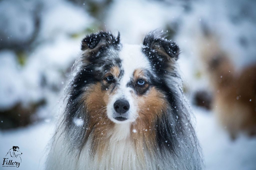 Publication : De L'odyssée D'alcane