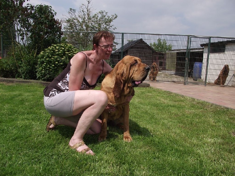 Publication : de la voix royale