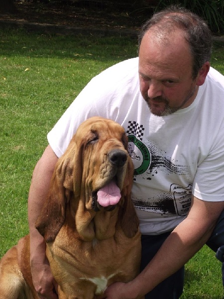 Publication : de la voix royale