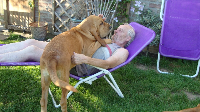 Publication : de la voix royale