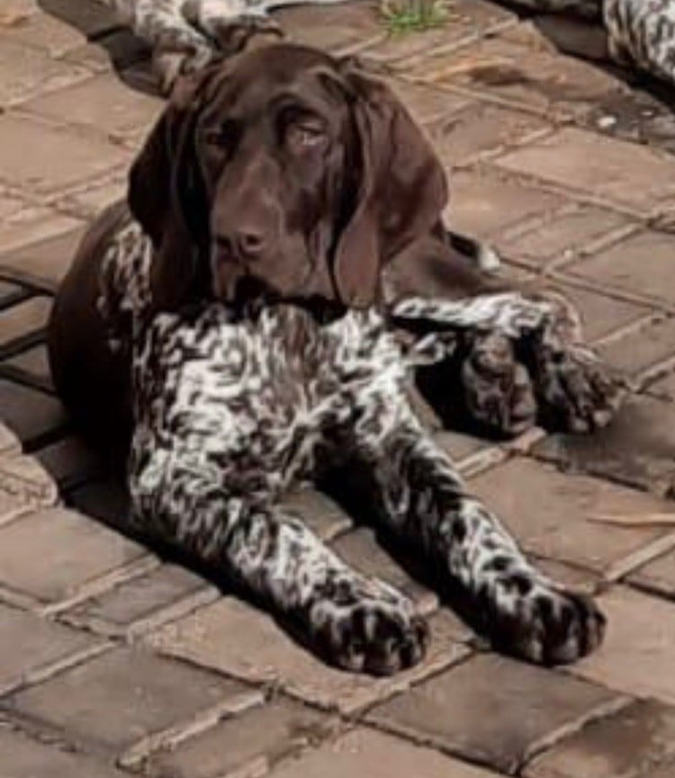 Taliy Des Sources D'asni