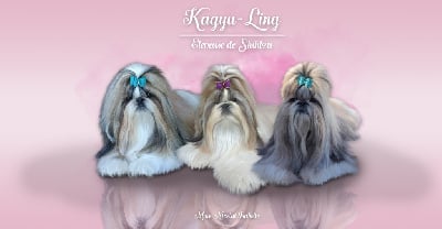 Kagyu-ling