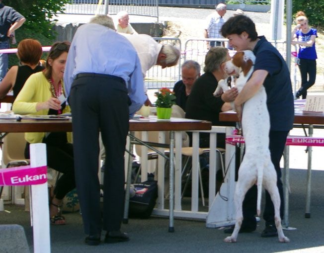 TR. CH. Issan De la diane de belrem - 1er Excellent CACS-RCACIB