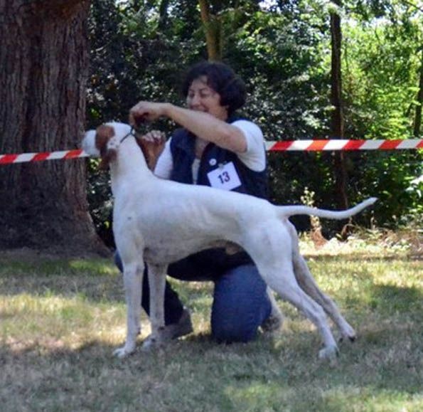 TR. CH. Issan De la diane de belrem - 1er Excellent Classe travail