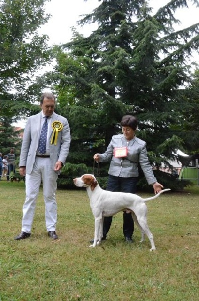 TR. CH. Issan De la diane de belrem - 1er prix EXCELLENT CAC-CACIB Meilleur de race